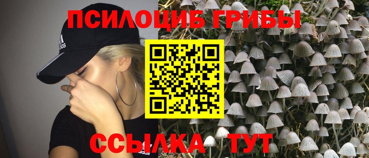 Псилоцибиновые грибы Cubensis  Вход с VPN  Курск 