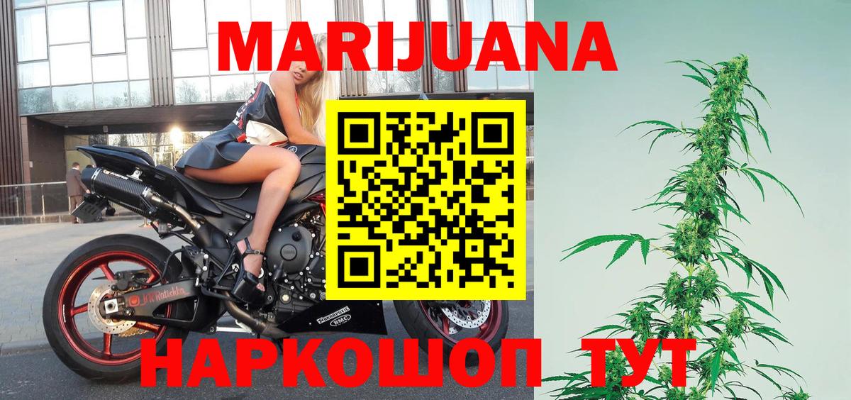 Курск  МАРИХУАНА конопля  Марихуана план  Канабис сатива  Вход с VPN 